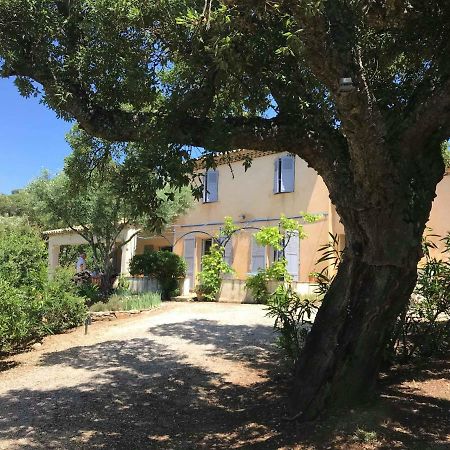 Le Mas Amore Bed & Breakfast Gassin Exterior photo