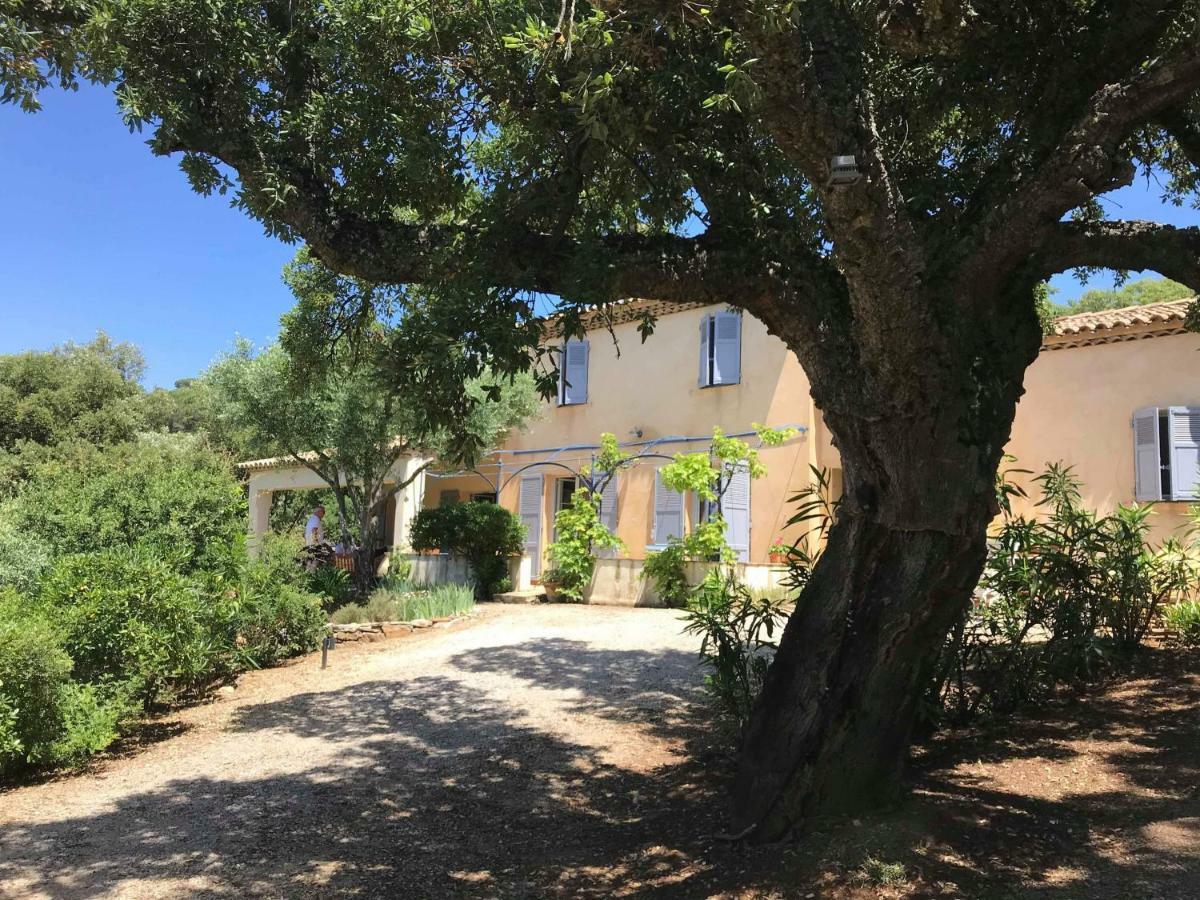 Le Mas Amore Bed & Breakfast Gassin Exterior photo
